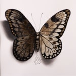Alessandra Maria, Butterfly no. 92, 2022