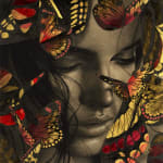 Alessandra Maria, Butterfly no. 92, 2022