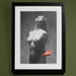 Thumbnail of additional image