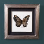 Alessandra Maria, Butterfly no. 92, 2022