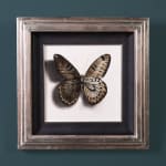 Alessandra Maria, Butterfly no. 92, 2022