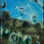 Julian Simon, Pack, 2025