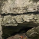 Julian Simon, Pack, 2025