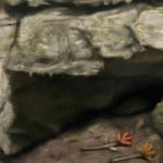 Julian Simon, Pack, 2025