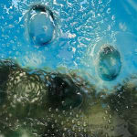 Julian Simon, Pack, 2025