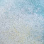 Samantha Clark, Weather Coming