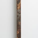 留守 玲, 采衣, 2019