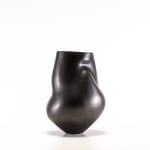 サラ・フリン, Spine Camber Vessel, 2019