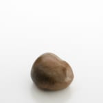 アダム・フス, Untitled, 2011