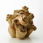 森 綾, 往生際, 2021