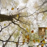 Jacques Pion, Intimus, 2022-2024