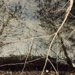 Pietro Bologna, Da Ettaro (From Hectare), 2020-2021