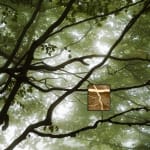 Jacques Pion, Intimus, 2022-2024