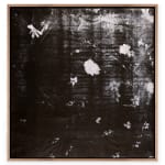 Pietro Bologna, Da Ettaro (From Hectare), 2020-2021