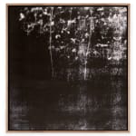 Pietro Bologna, Da Ettaro (From Hectare), 2020-2021