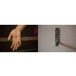 Alessandra Baldoni, Pigre divinità e pigra sorte (Lazy Gods And Lazy Fate), 2022