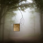 Jacques Pion, Intimus, 2022-2024