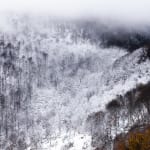 Jacques Pion, Intimus, 2022-2024