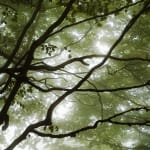 Jacques Pion, Intimus, 2022-2024