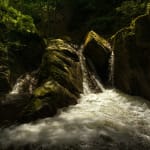 Jacques Pion, Intimus, 2022-2024