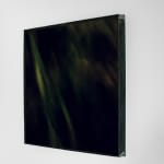 Pietro Bologna, Da Ettaro (From Hectare), 2020-2021