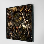 Pietro Bologna, Da Ettaro (From Hectare), 2020-2021