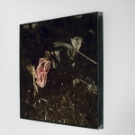 Pietro Bologna, Da Ettaro (From Hectare), 2020-2021