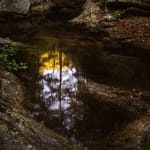 Jacques Pion, Intimus, 2022-2024