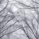 Jacques Pion, Intimus, 2022-2024