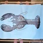Maine Lobster on Blue Background, 2024