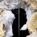 Paola Estrella, Cenote Ring, 2024