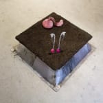 Paola Estrella, Cenote Ring, 2024