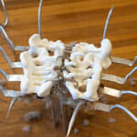 Lera Kelemen, Torso (ease), 2024