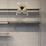 Dilara Koz, Certain Dreams, 2025