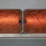 Dilara Koz, Certain Dreams, 2025