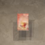 Dilara Koz, Certain Dreams, 2025