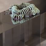 Dilara Koz, Certain Dreams, 2025
