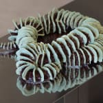 Dilara Koz, Certain Dreams, 2025