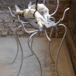 Dilara Koz, Certain Dreams, 2025