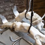 Dilara Koz, Certain Dreams, 2025