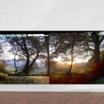 Kit Glaisyer, Proposal: Young Lewesdon Tree 240x200cm