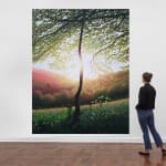 Kit Glaisyer, Proposal: Young Lewesdon Tree 240x200cm