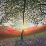 Kit Glaisyer, Glowing fields on Eggardon Hill