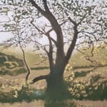 Kit Glaisyer, Proposal: Young Lewesdon Tree 240x200cm