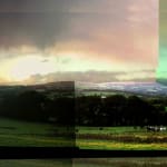 Kit Glaisyer, Proposal: Young Lewesdon Tree 240x200cm