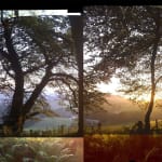 Kit Glaisyer, Proposal: Young Lewesdon Tree 240x200cm