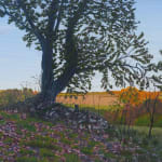 Kit Glaisyer, Proposal: Young Lewesdon Tree 240x200cm