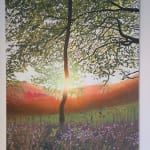 Kit Glaisyer, Glowing fields on Eggardon Hill