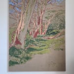 Kit Glaisyer, Glowing fields on Eggardon Hill