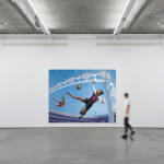 Alexis Rockman, Soccer, 2004